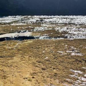 Meet your Posher, Josephine